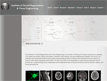 Tablet Screenshot of neuralregeneration.org